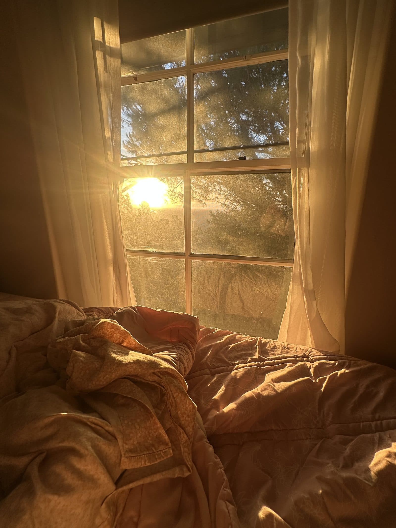 Morning sunlight in a bedroom, the payoff of a consistent sleep schedule